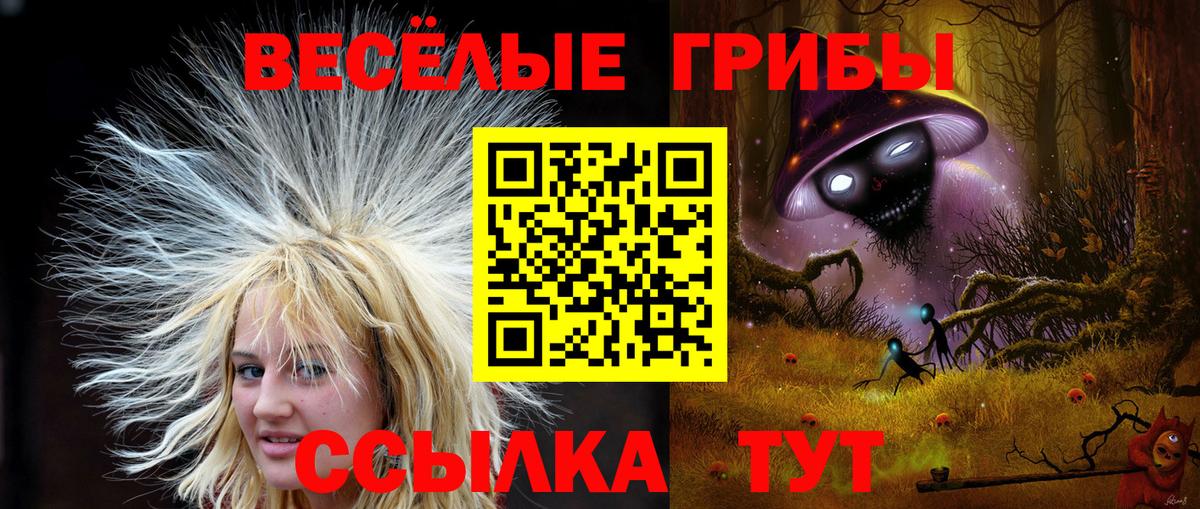 Галлюциногенные грибы MAGIC MUSHROOMS Ростов Великий