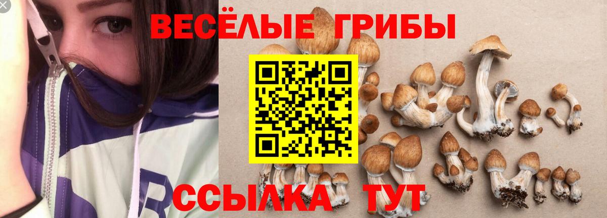 Ростов Великий  Псилоцибиновые грибы Magic Shrooms  Псилоцибиновые грибы ЛСД  Вход с VPN 